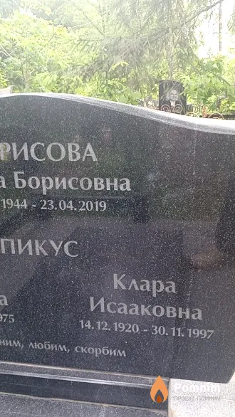 Пикус Клара Исааковна