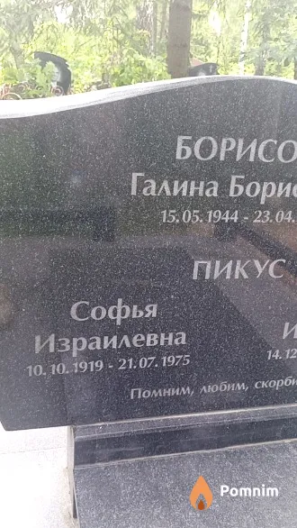 Пикус Софья Израилевна