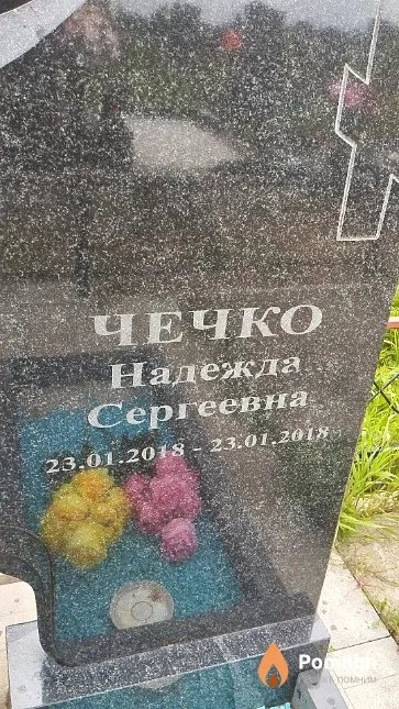 Чечко Надежда Сергеевна