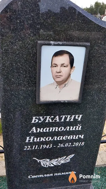 Букатич Анатолий Николаевич