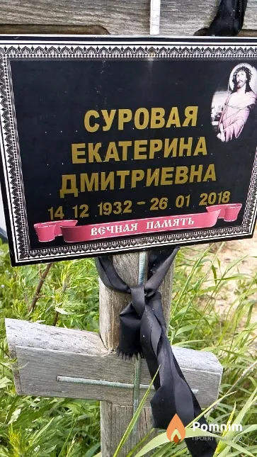 Суровая Екатерина Дмитриевна