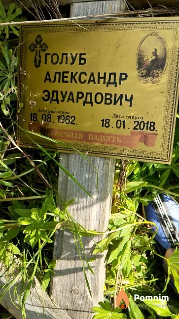Голуб Александр Эдуардрвич