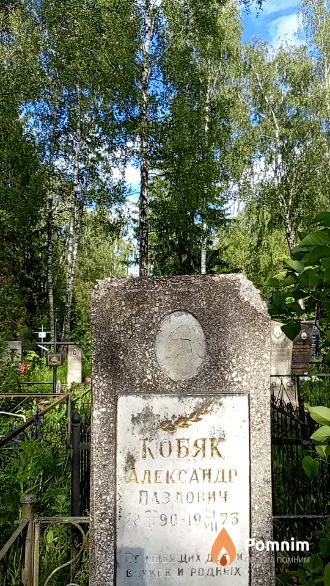 Кобяк Александр Павлович