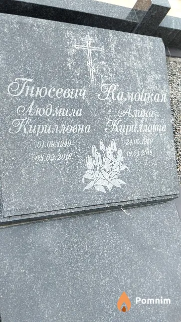 Камоцкая Алина Кирилловна