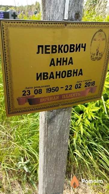 Левкович Анна Ивановна