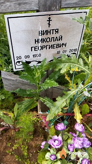 Винтя Николай Георгиевич