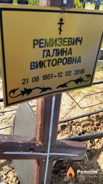Ремизевич Галина Викторовна