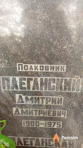 Плеганский Дмитрий Дмитриевич