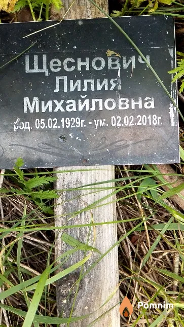 Щеснович Лилия Михайловна