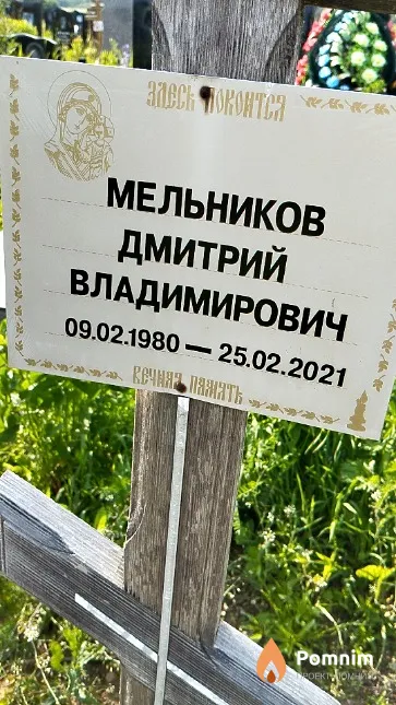 Мельников Дмитрий Владимирович