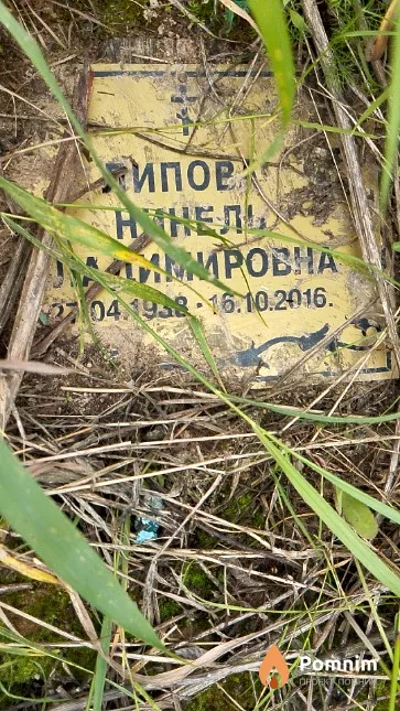 Липова Нинель Владимировна