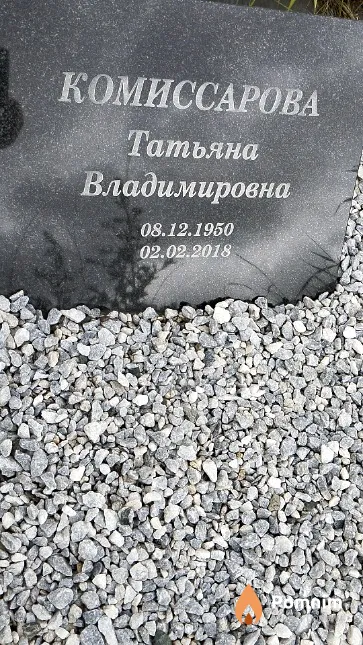 Комиссарова Татьяна Владимировна