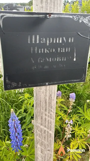 Шаршун Николай Адамович