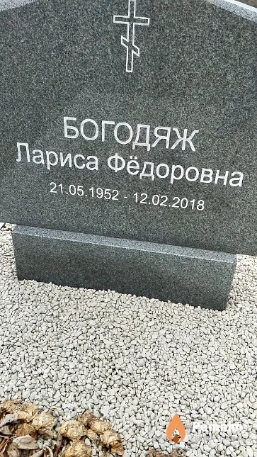 Богодяж Лариса Фёдоровна