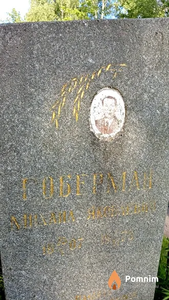 Гоберман Михаил Яковлевич