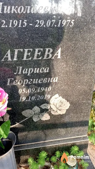Агеева Лариса Георгиевна