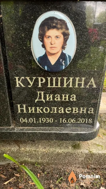 Куршина Диана Николаевна