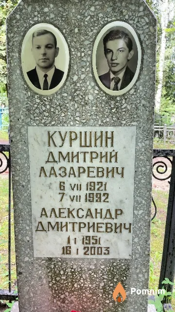 Куршин Александр Дмитриевич