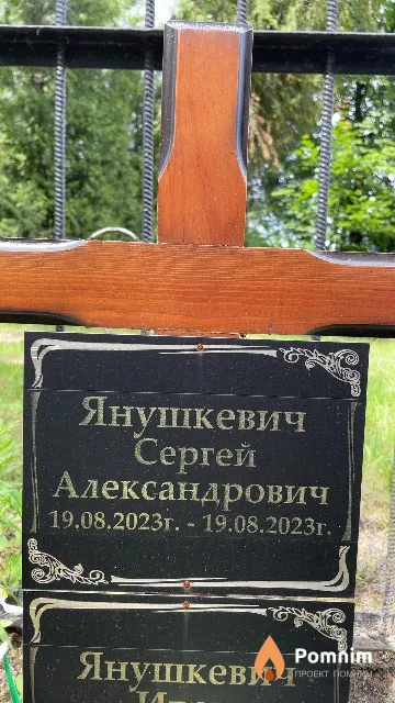 Янушкевич Сергей Александрович