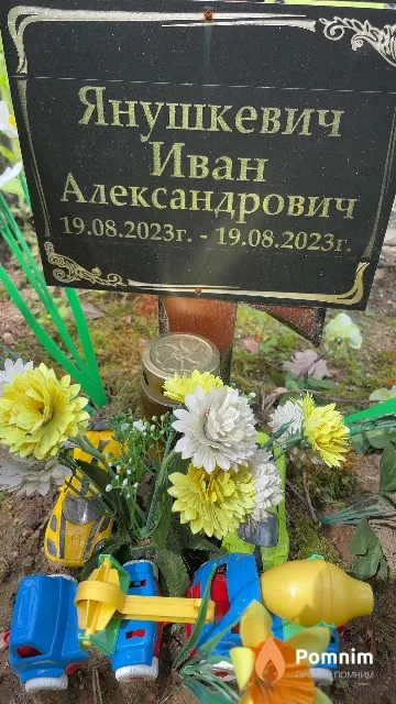 Янушкевич Иван Александрович