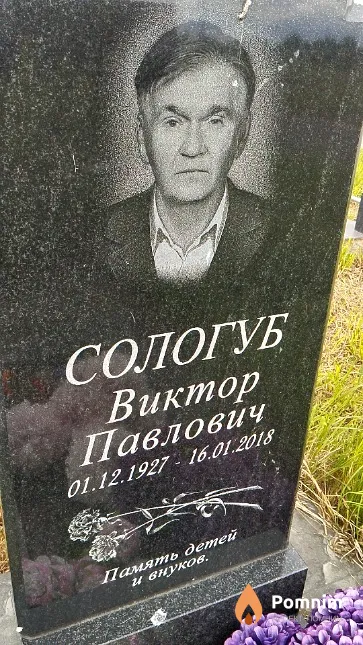 Сологуб Виктор Павлович