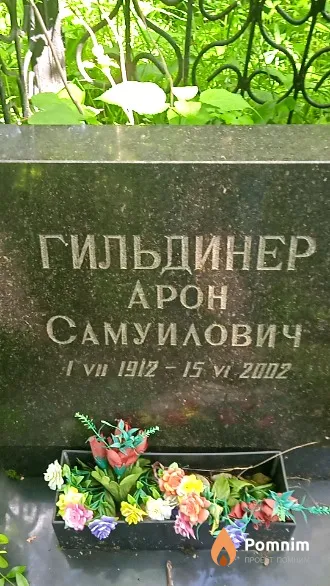 Гильдинер Арон Самуилович