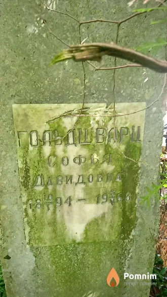 Гольдшварц Софья Давидовна