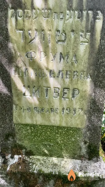 Цитвер Фрума Шепшелевна