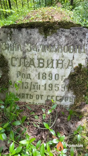 Славина Зина Залмановна