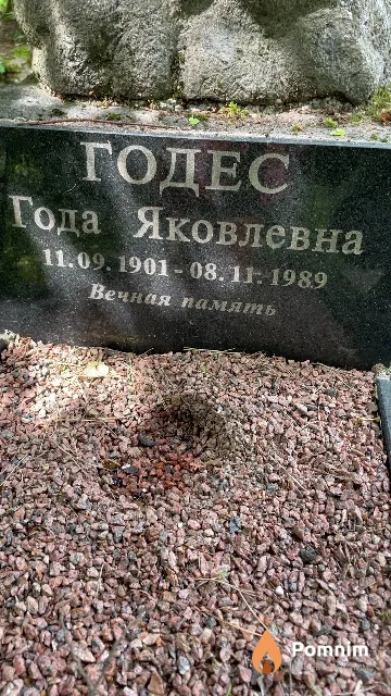 Годес Года Яковлевна