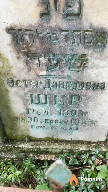 Шер Эстер Давыдовна