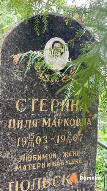 Стерина Циля Марковна