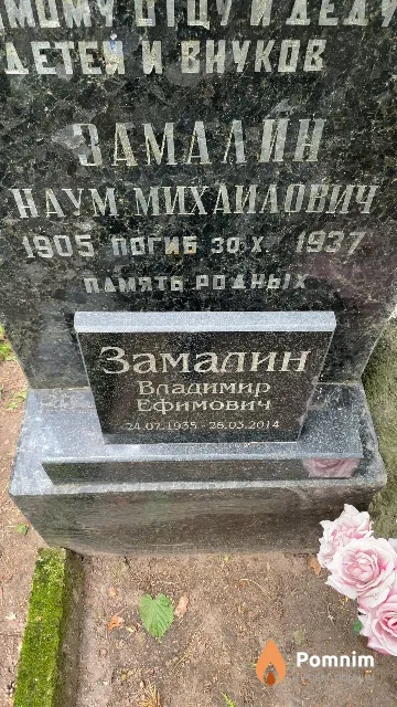 Замалин Наум Михаилович