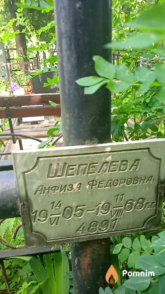 Шепелева Анфиза Федоровна