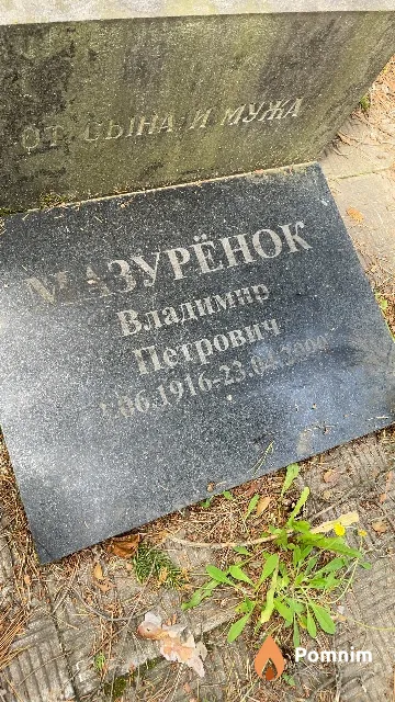 Мазурёнок Владимир Петрович