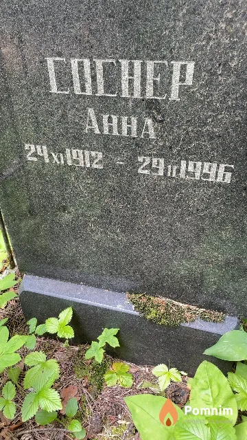Соснер Анна