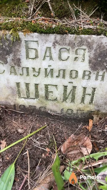 Шейн Бася Салуйловна