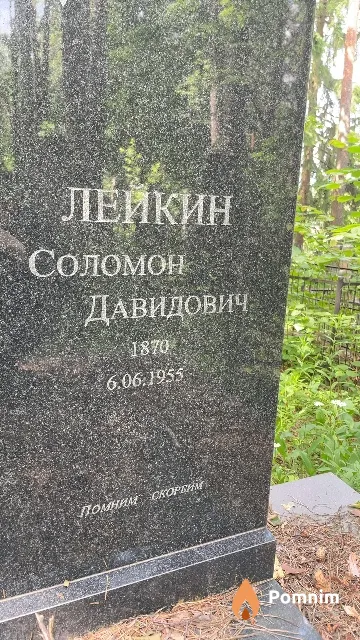 Лейкин Соломон Давидович