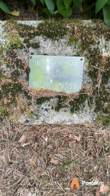 Шендерович Вера Нотановна