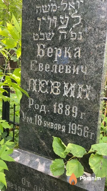 Левин Берка Евелевич
