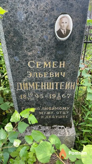 Дименштейн Ceмен Эльевич
