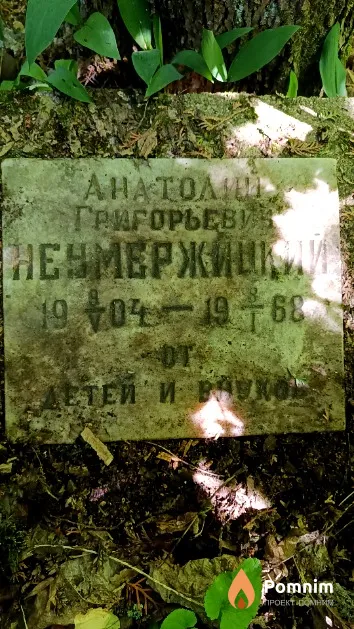 Неумержицкий Анатолий Григорьевич