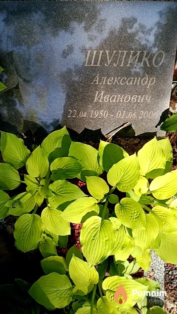 Шулико Александр Иванович
