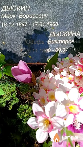 Дыскин Марк Борисович