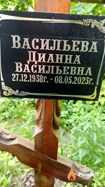 Васильева Дианна Васильевна