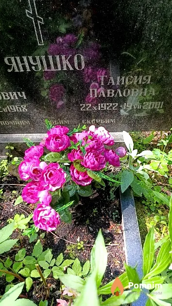Янушко Таисия Павловна