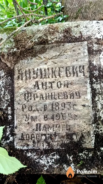 Янушкевич Антон Францевич