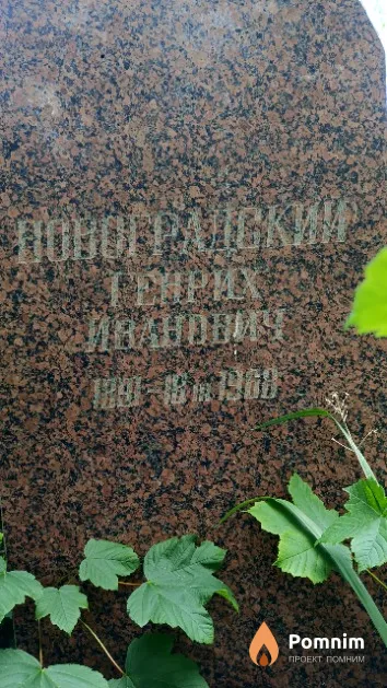 Новоградский Генрих Иванович