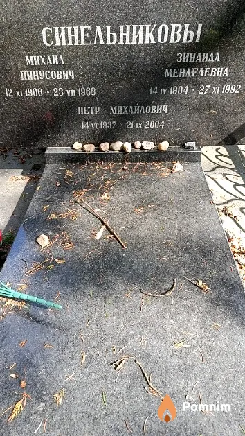 Синельников Михаил Пинусович