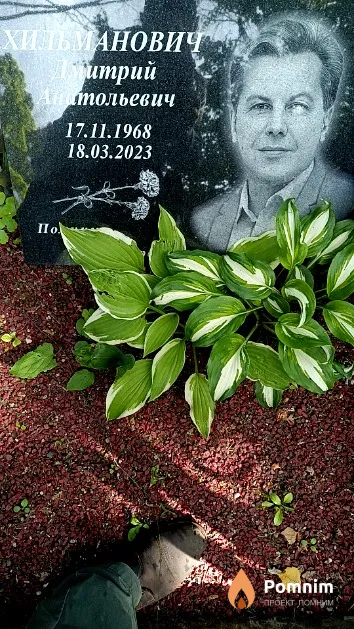Хильманович Дмитрий Анатольевич